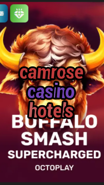 camrose casino hotels-w4cy2mdjlx2bf.com